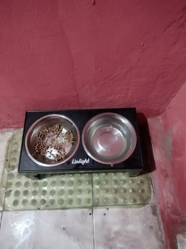 foto de Comedouro Bebedouro Elevado Cães Duplo Lento Inox Grandes Ajustável Looxopet Preto