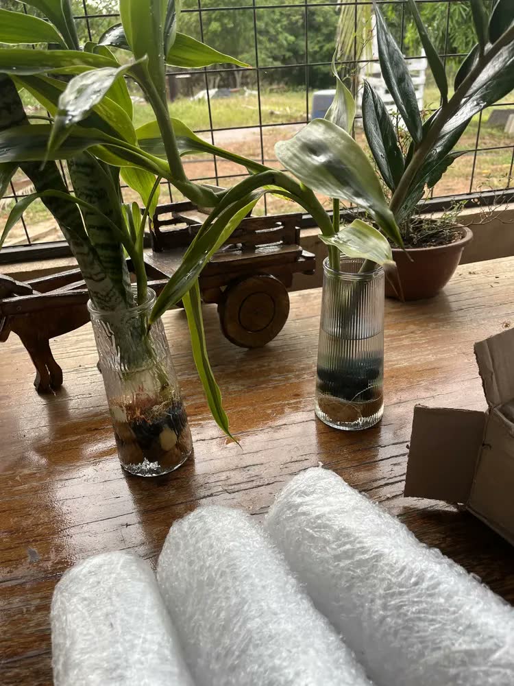 foto de 3 Vaso Vidro Decorativo 750ml Flor Aranjo Planta Mesa Grande