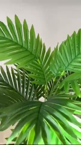 vídeo do produto