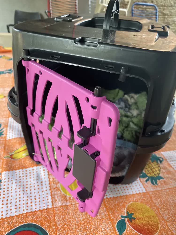 foto de Caixa de Transporte para Cachorro e Gato Patas Fiéis Nº2 10kg + Escova Rosa