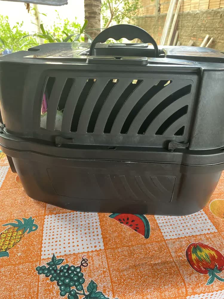 foto de Caixa Transporte Cachorro Gato 10kg + Escova Patas Fiéis Cinza