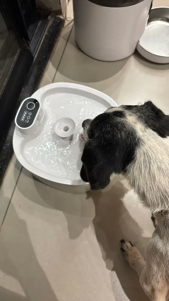 foto de Bebedouro Automático New Pet para Gato e Cão 2.6L Sensor Sem Fio
