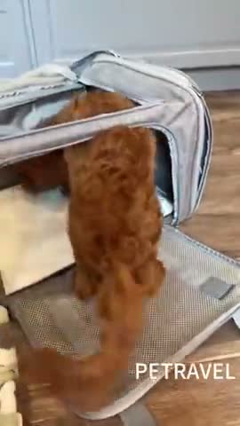 vídeo do produto
