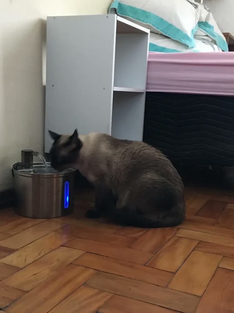 foto de Fonte De Água De Aço Inoxidável Para Gatos E Cãe 3l Newpet