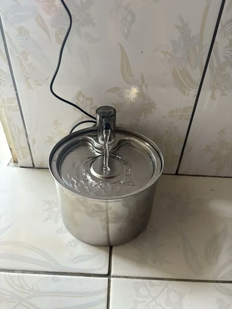 foto de Fonte De Água De Aço Inoxidável Para Gatos E Cãe 3l Newpet