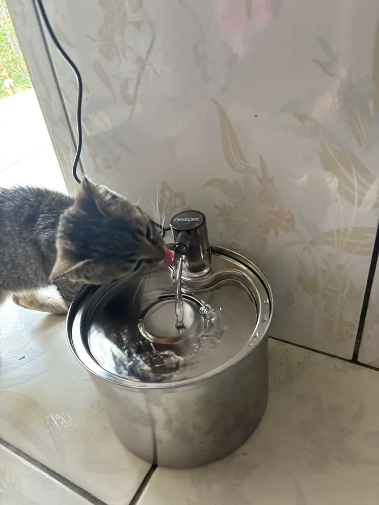 foto de Fonte De Água De Aço Inoxidável Para Gatos E Cãe 3l Newpet