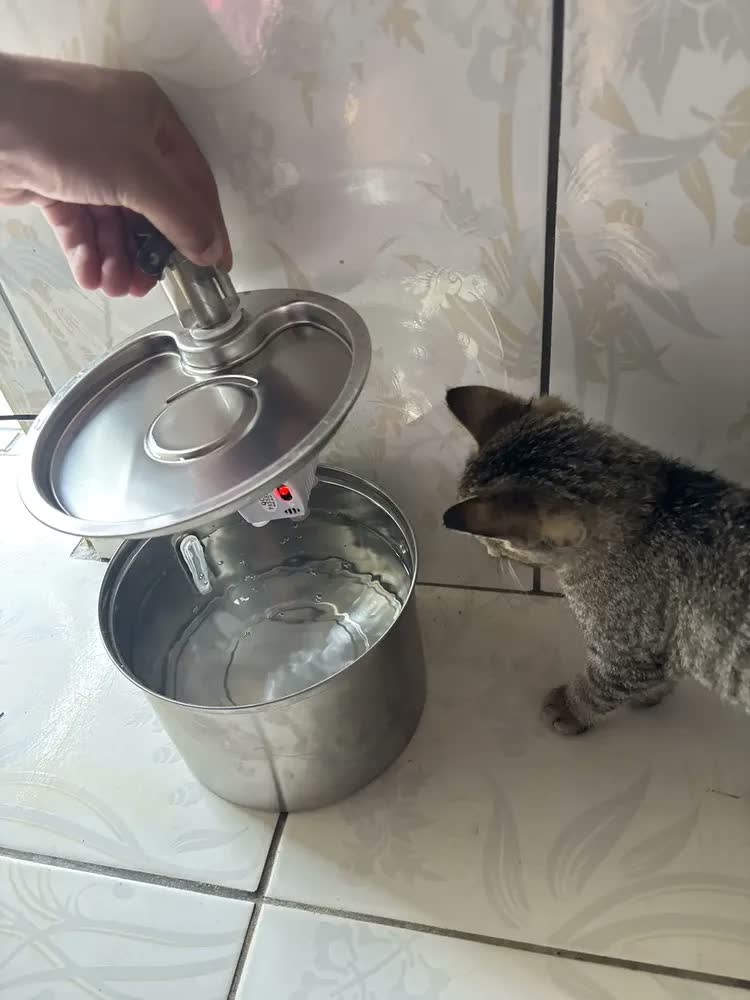foto de Fonte De Água De Aço Inoxidável Para Gatos E Cãe 3l Newpet