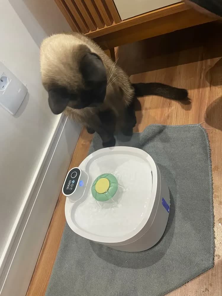foto de 2.6l Sensor Sem Fio Bebedouro Fonte Para Gato Cão Newpet