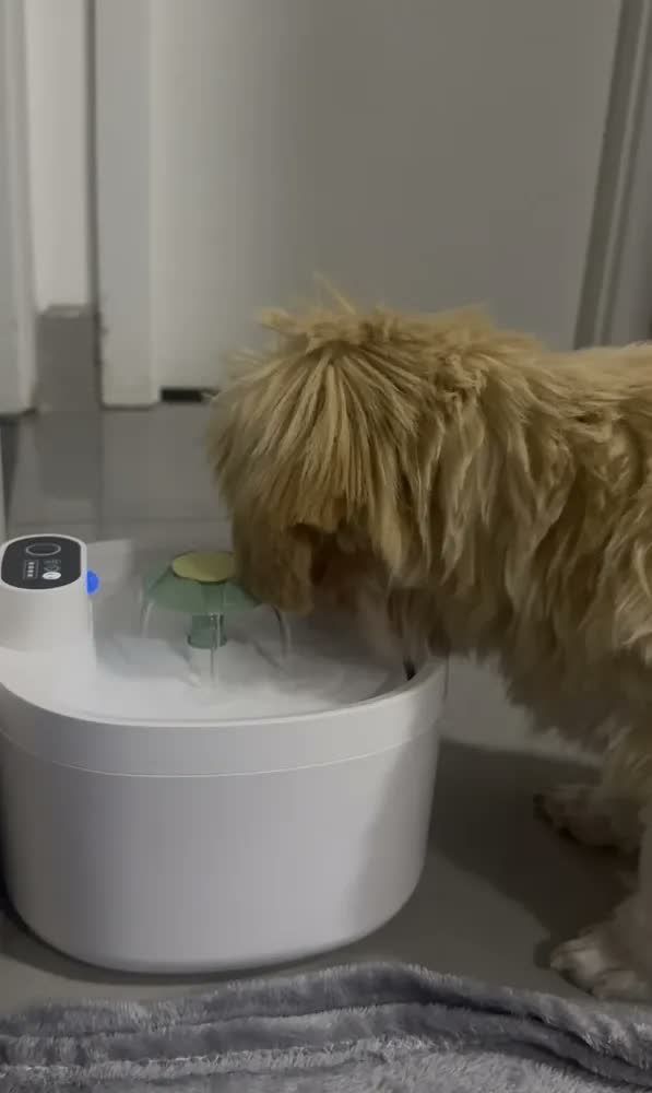 foto de 2.6l Sensor Sem Fio Bebedouro Fonte Para Gato Cão Newpet