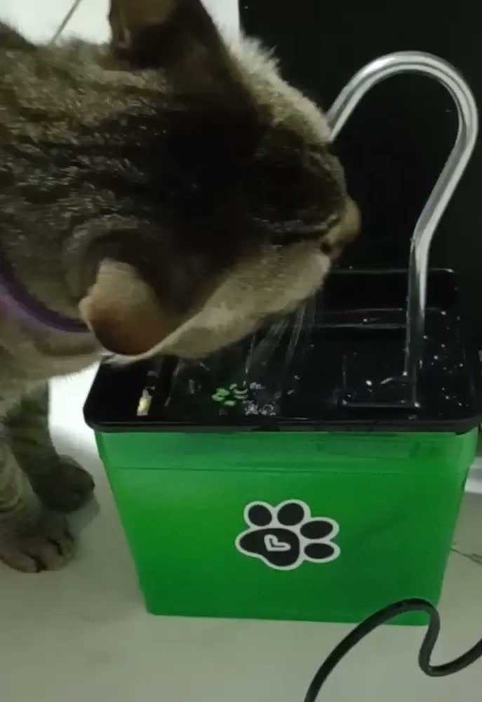 foto de Bebedouro Fonte De Água Para Gatos - Silencioso E Econômico
