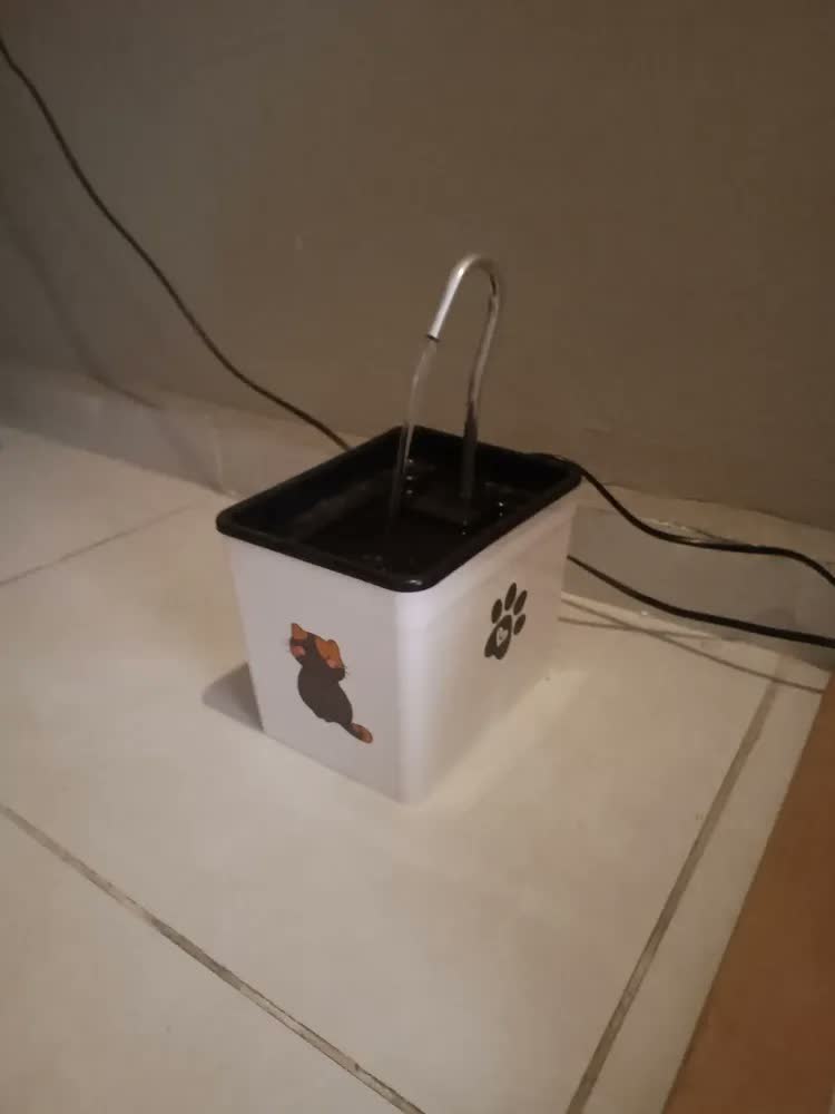 foto de Bebedouro Fonte De Água Para Gatos - Silencioso E Econômico