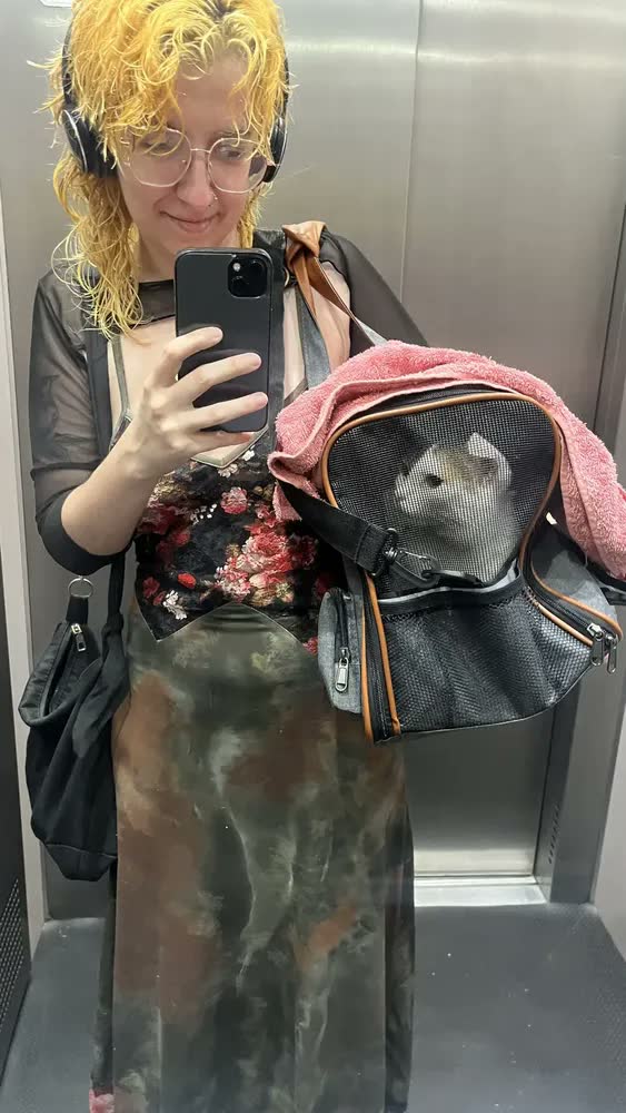 foto de Bolsa De Transporte Pet Luxo Em Couro Avião Carro Cães Gatos Cor Cinza-escuro