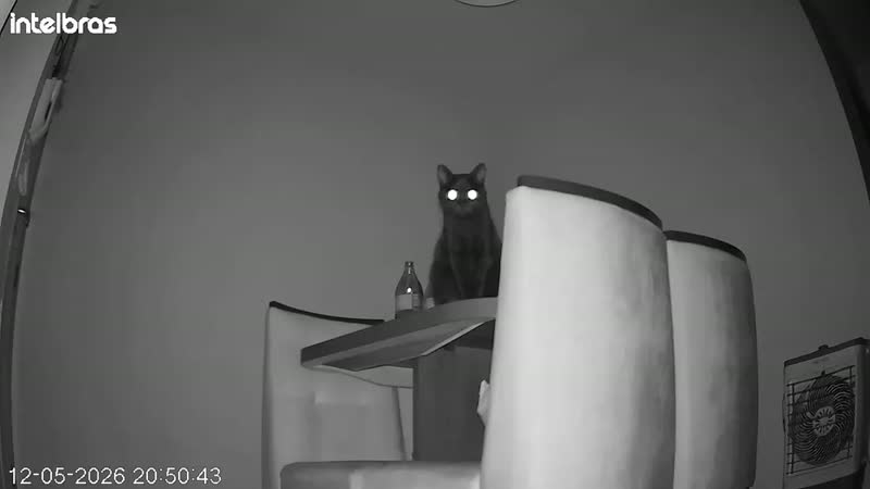foto de Câmera Inteligente Intelbras Ime 360 3mp Visão 360 Wi-fi Cor Branco