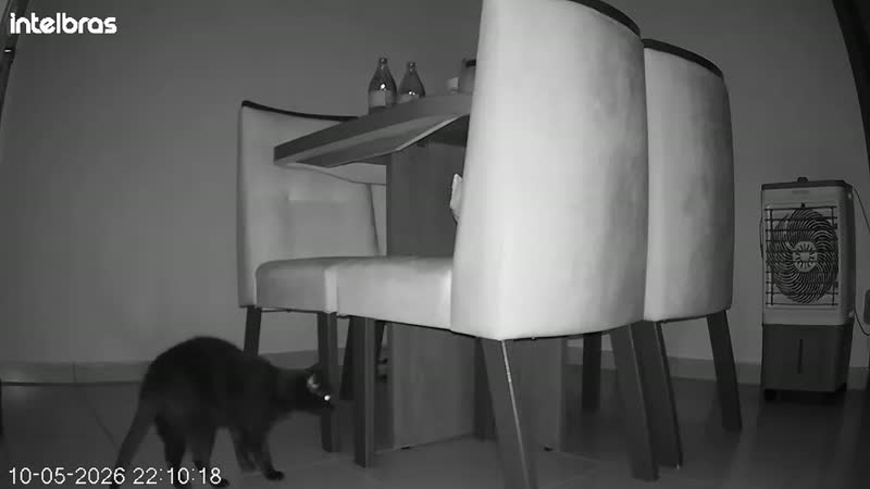 foto de Câmera Inteligente Intelbras Ime 360 3mp Visão 360 Wi-fi Cor Branco