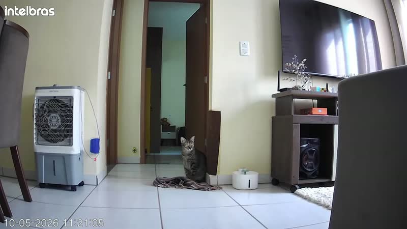 foto de Câmera Inteligente Intelbras Ime 360 3mp Visão 360 Wi-fi Cor Branco