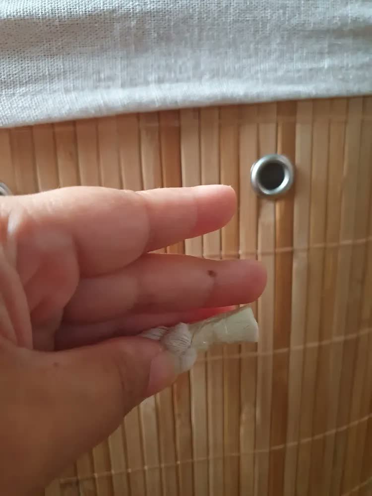 foto de Vittak Cesto De Roupa Bambu 72 Litros Dobrável Retangular Com Tampa E Forro