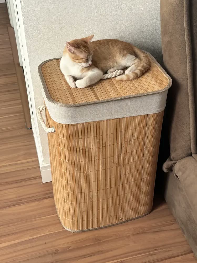 foto de Cesto De Roupa Bambu Dobrável Retangular C/ Tampa E Forro 70l Casa Uno