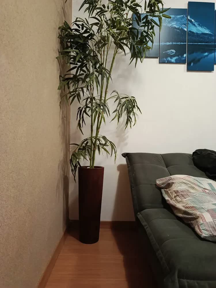foto de Vaso Alto Para Plantas Texturizado Decoração Moderna Casa