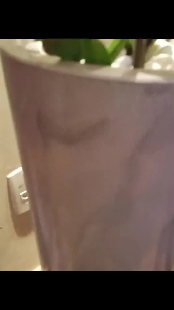 foto de Vaso Alto Para Plantas Luxo Marmorizado Decoração Casa