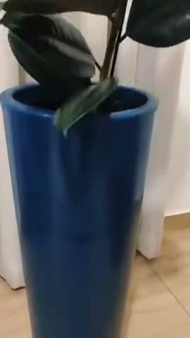 vídeo do produto