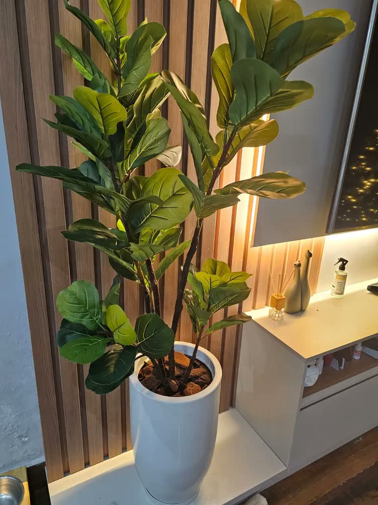 foto de Vaso Grande Polietileno Plantas Marmorizado Jardim Varanda