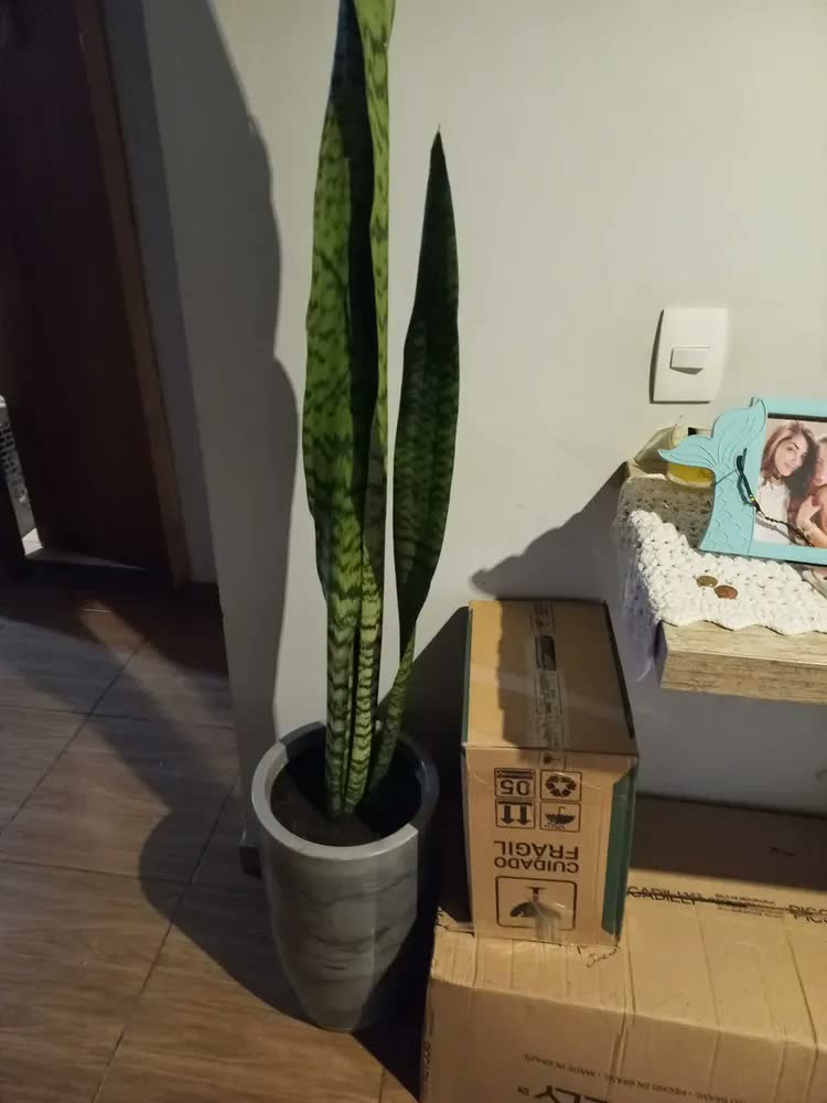 foto de Vaso Grande Polietileno Plantas Marmorizado Jardim Varanda