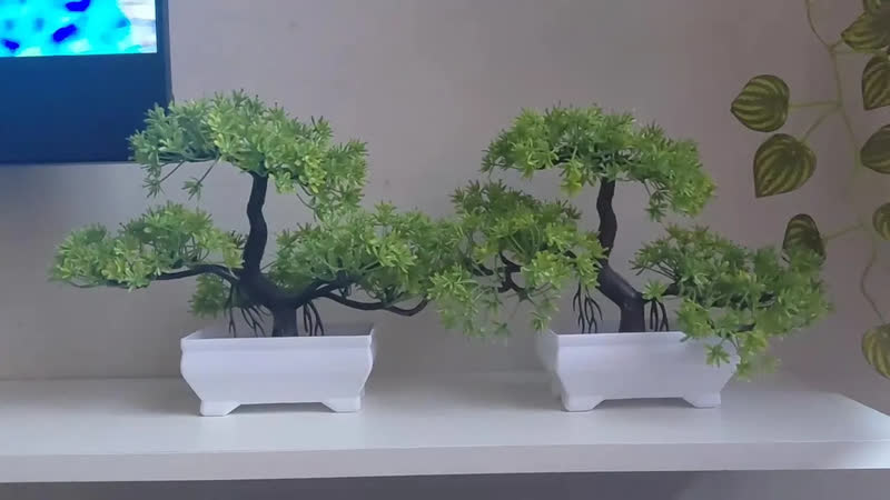 foto de Kit 2 Bonsai Artificial Nuvem Mini Árvore com Vaso Verde Realista Decoração Mesa Sala Escritório Planta Decorativa