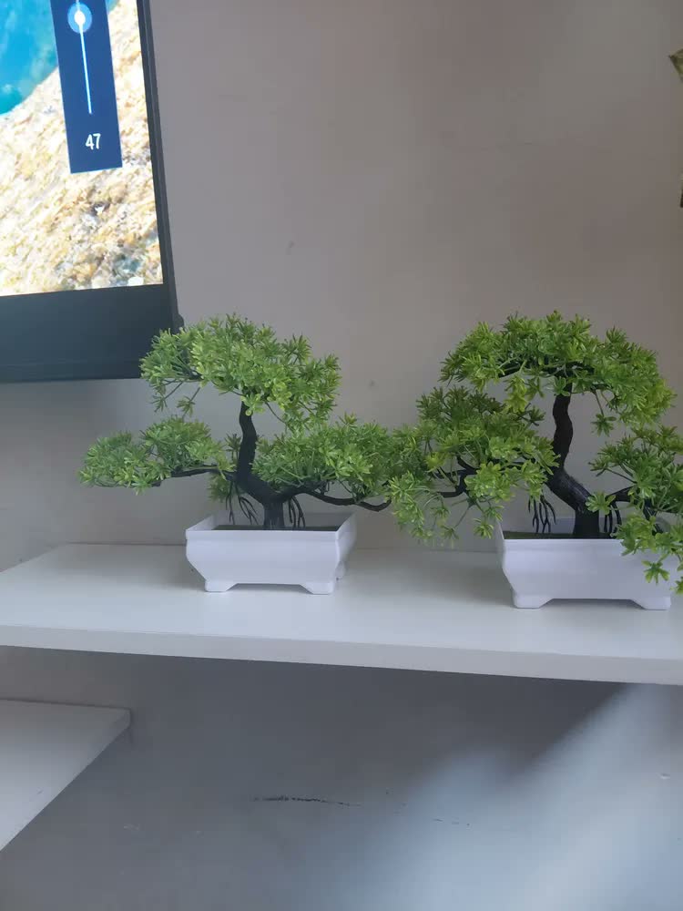 foto de Kit 2 Bonsai Artificial Nuvem Mini Árvore com Vaso Verde Realista Decoração Mesa Sala Escritório Planta Decorativa