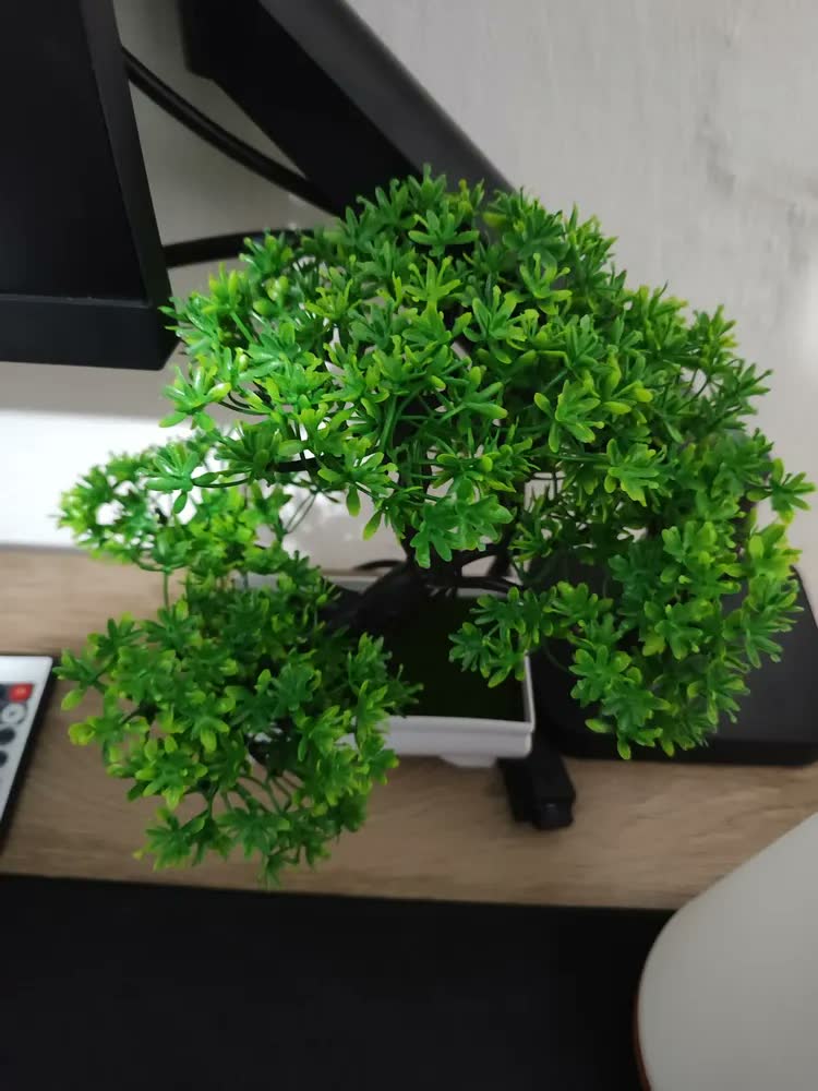foto de Kit 2 Bonsai Artificial Nuvem Mini Árvore com Vaso Verde Realista Decoração Mesa Sala Escritório Planta Decorativa