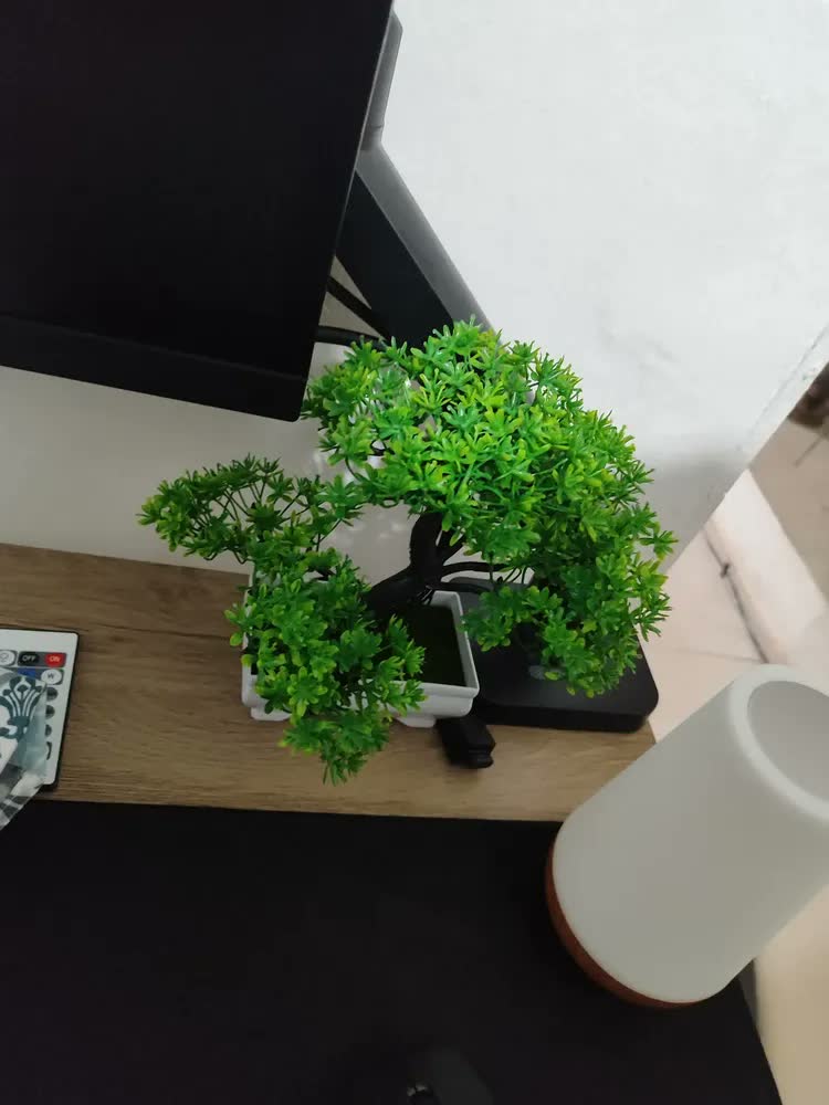 foto de Kit 2 Bonsai Artificial Nuvem Mini Árvore com Vaso Verde Realista Decoração Mesa Sala Escritório Planta Decorativa