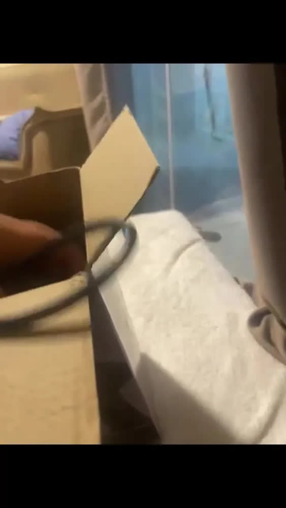 foto de Vaporizador de Roupas Profissional 1200W Coibeu Preto Passadeira a Seco e Vapor