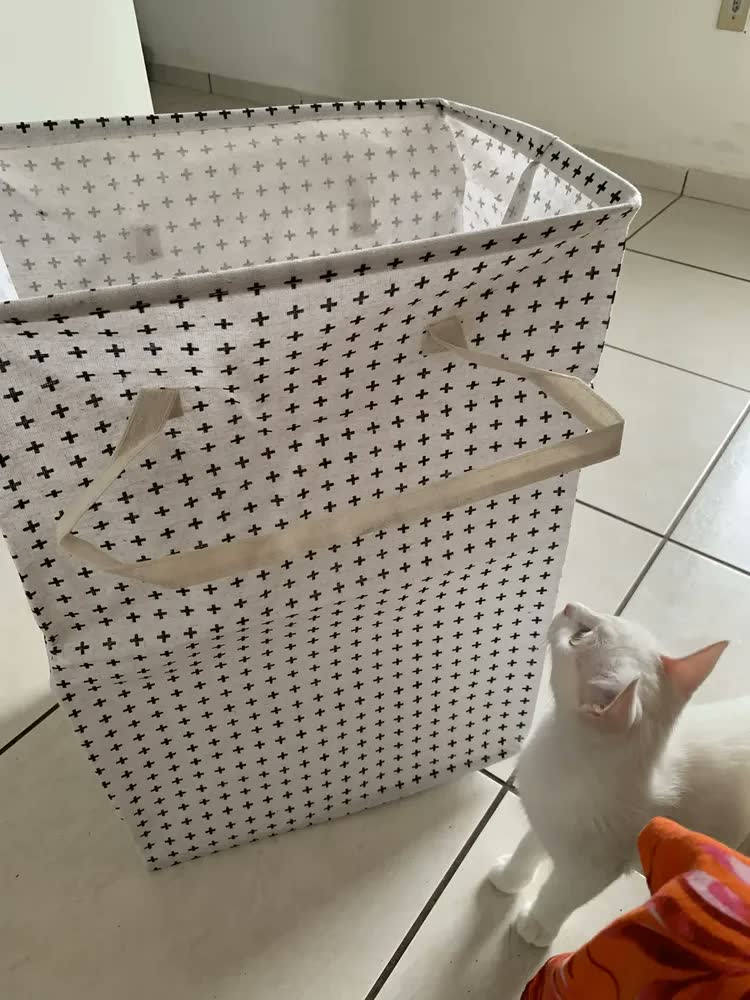 foto de Cesto de Roupa Suja Dobrável 72L Retangular Cinza PLUSSMAR com Alças