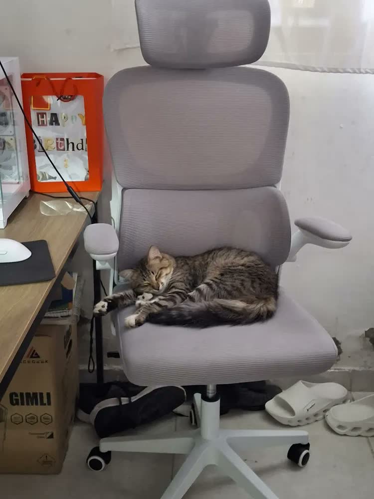 foto de Cadeira Escritório Ergonômica Python Fly B07 Cinza Com Suporte Lombar