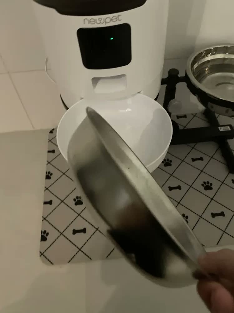 foto de Comedouro Automático New Pet 4L com Gravação de Voz para Cães e Gatos