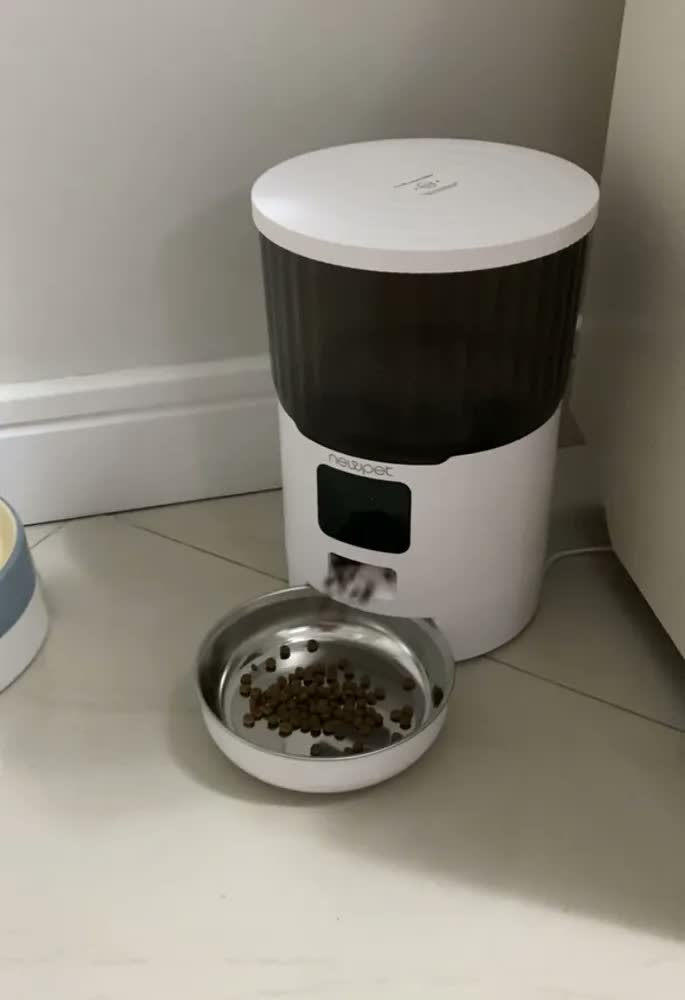foto de Comedouro Automático New Pet 4L com Gravação de Voz para Cães e Gatos