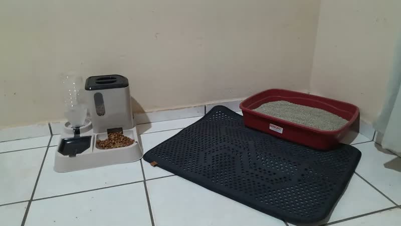 foto de Comedouro E Bebedouro Automático Inteligente Alimentador