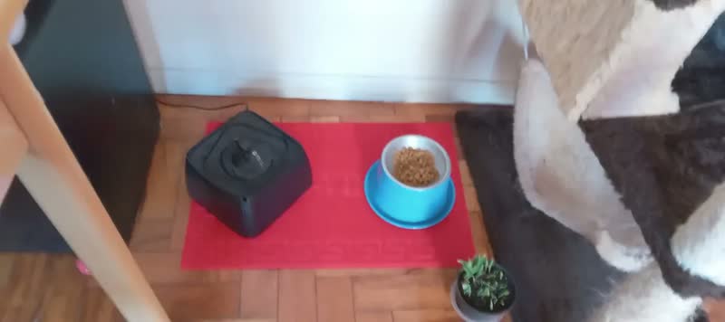 foto de Kit 2 Tapete Capacho Antiderrapante 40x60cm Porta Entrada