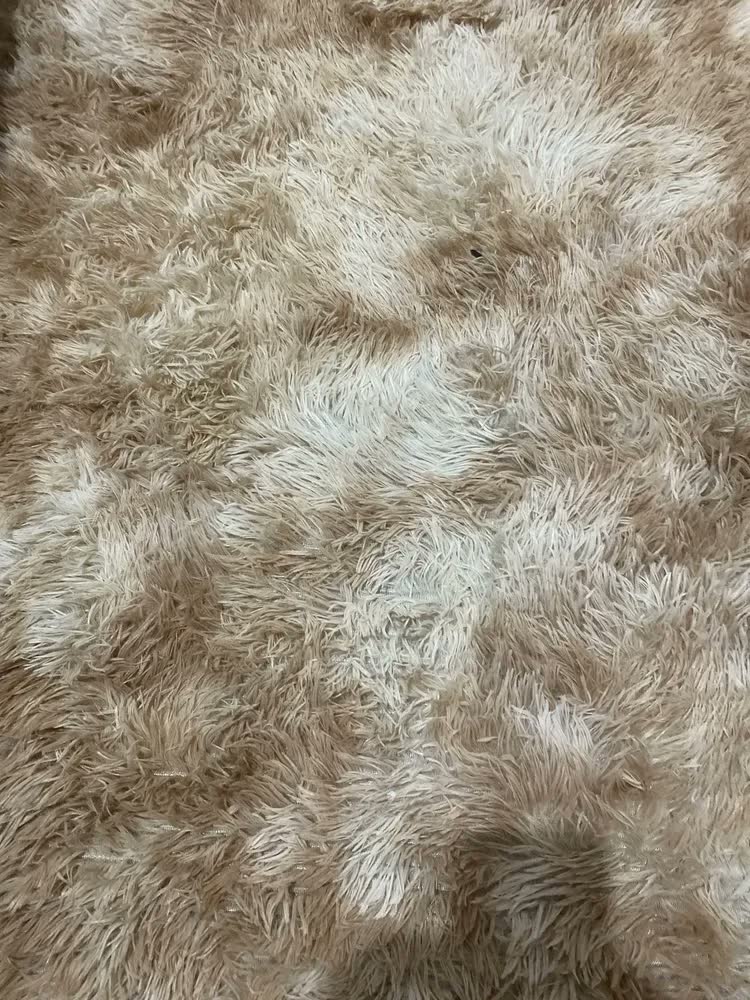 foto de Tapete Sala 2,00x1,50 Quarto Felpudo Peludo Macio