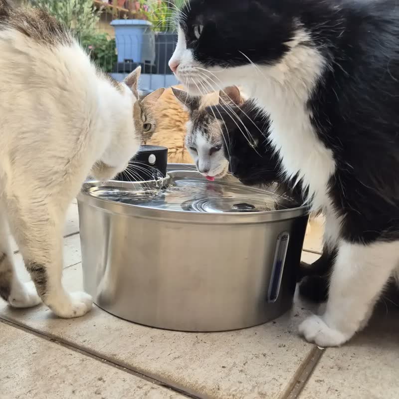 foto de Bebedouro Automático Sem Fio para Cães e Gatos 7,5 Litros Branco
