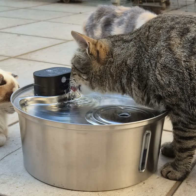 foto de Bebedouro Automático Sem Fio para Cães e Gatos 7,5 Litros Branco