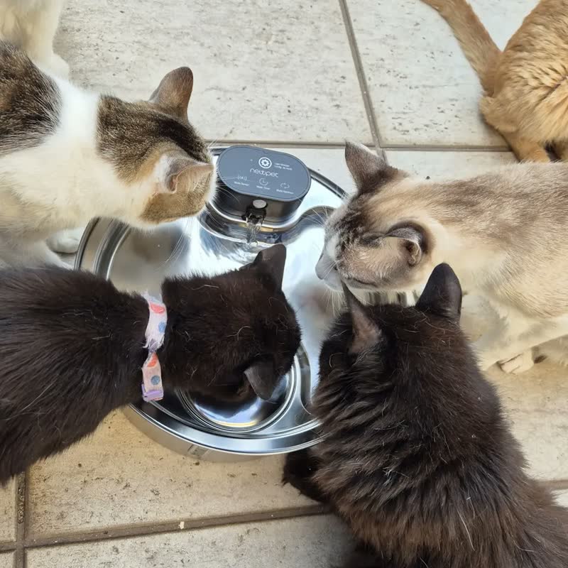 foto de Bebedouro Automático Sem Fio para Cães e Gatos 7,5 Litros Branco