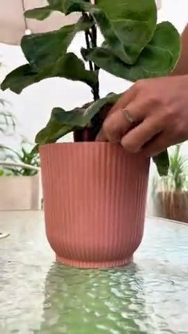 vídeo do produto