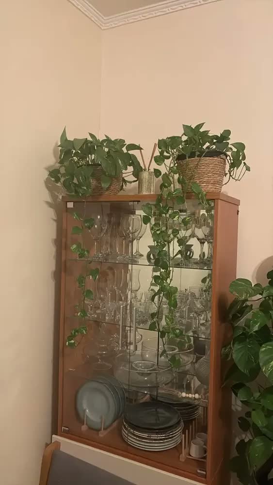 foto de Cesto Vaso Cachepo De Palha Decorativo Sala Varanda Jardim Cor Palha Natural