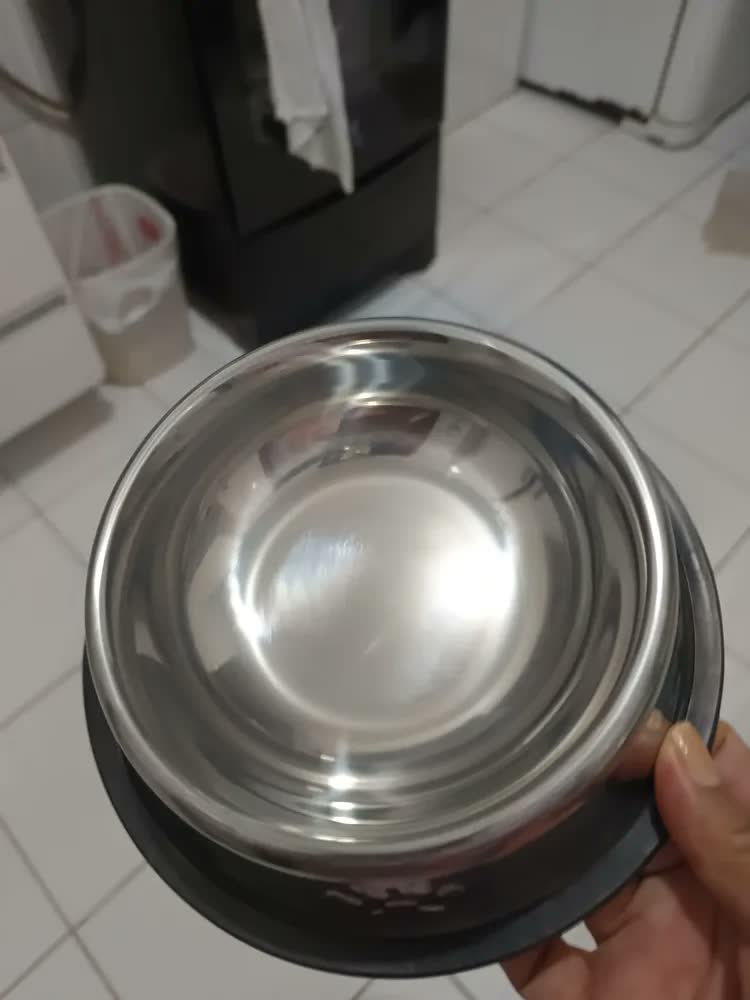 foto de Kit 2 Tigela Inox G Bebedouro Comedouro Cachorro Grande Inox Grande Potinho 800ml