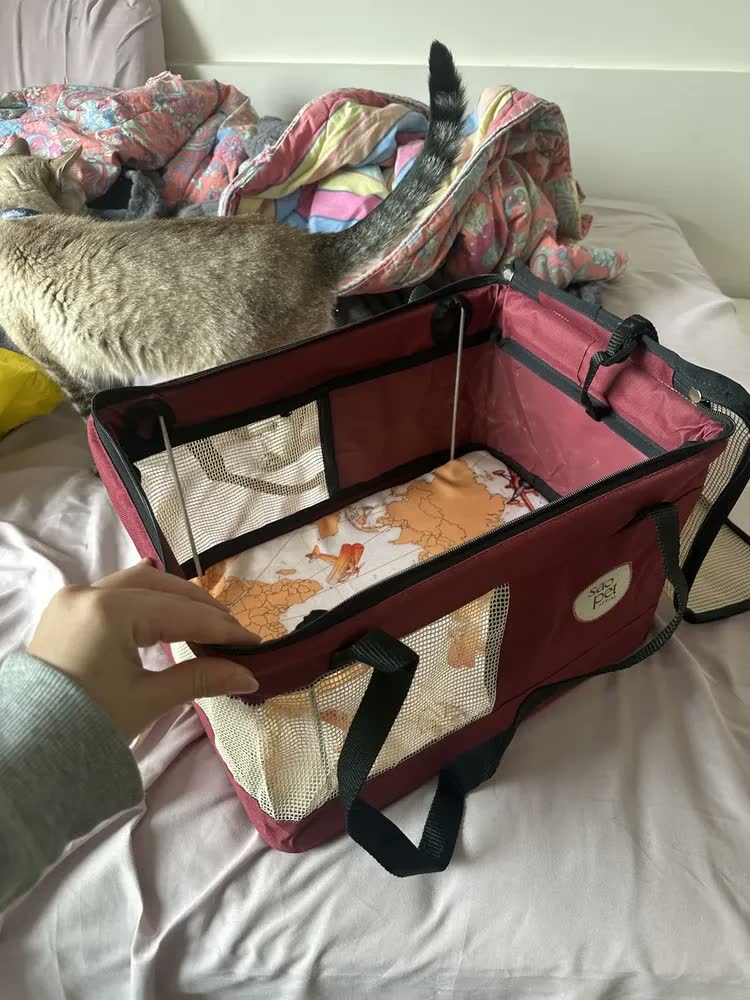 foto de Bolsa De Transporte Aéreo Para Pets Modelo Latam 40x28x25cm Cor Marrom
