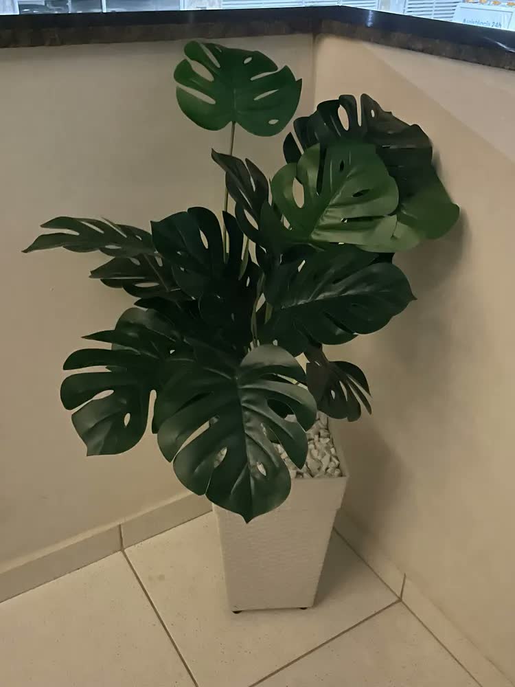 foto de Planta Artificial Grande Costela De Adão Com Vaso Decorativo