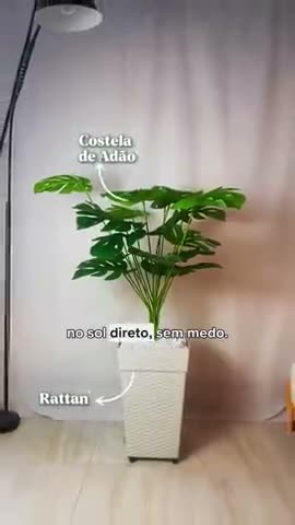 vídeo do produto