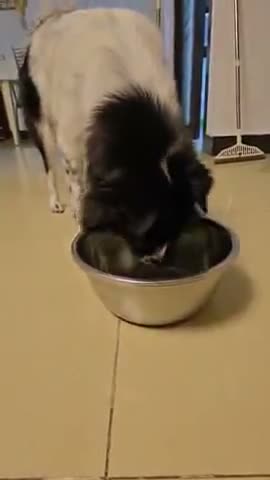 vídeo do produto