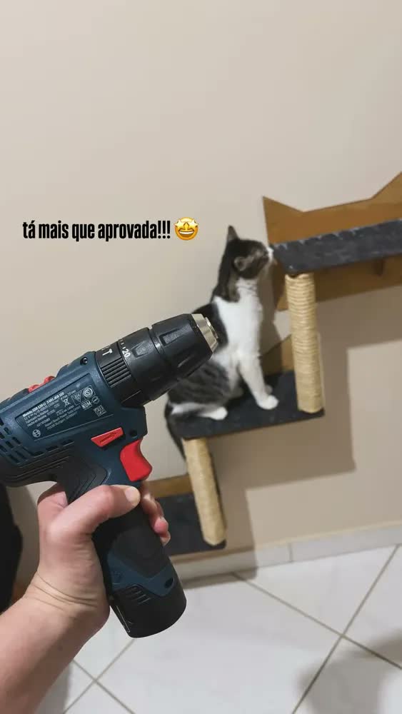 foto de Parafusadeira Furadeira Bosch 12v Gsb120li + Kit 300 Peças - Azul - 60hz