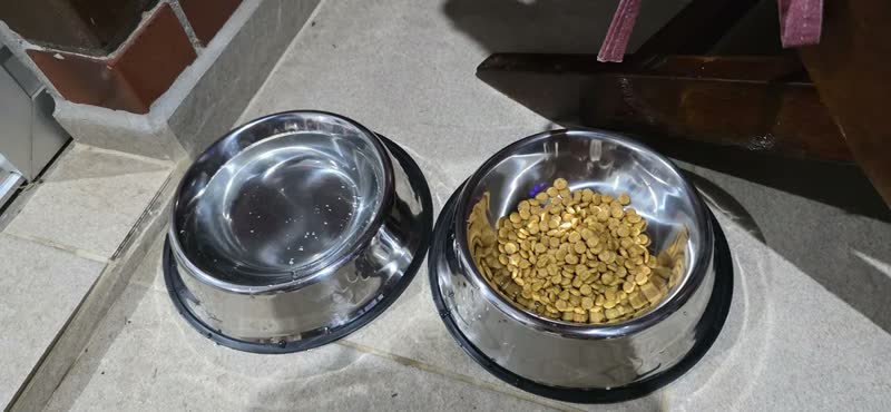 foto de Kit 2 Comedouros Comedouro Pet Inox 900ml Cachorro Grande Antiderrapante